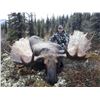 Image 1 : 10 - DAY MOOSE HUNT FOR (1) HUNTER - FULL CURL STONE BC