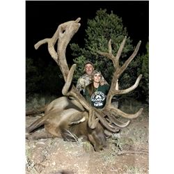 2020 Arizona Special License - Elk Tag
