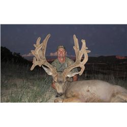 2020 Utah Paunsaugunt Buck Deer Landowner Permit