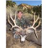 Image 2 : 2020 Utah Paunsaugunt Buck Deer Landowner Permit