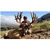 Image 1 : 2020 Arizona Special License - Mule Deer Tag