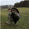 Image 4 : TURKEY HUNT FOR TWO HUNTERS | Triple T Hunting Adventures | Lynch, Nebraska