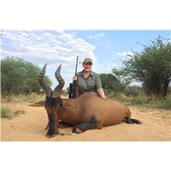 NAMIBIA TEN DAYS ONE HUNTER AND ONE NON-HUNTER Eland, Oryx, Hartebeest and Warthog!