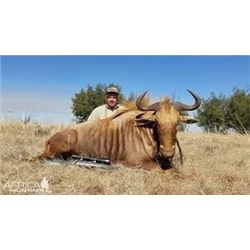 MARUPA SAFARIS - SOUTH AFRICA | 2 Hunter and 2 Non-hunters 10 Days $3,000 Trophy Fee Credit