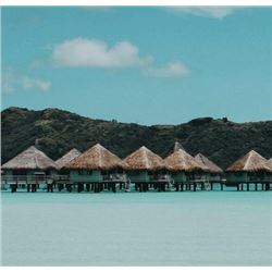 TWO ROUND TRIP TICKETS AND TRAVEL VOUCHERS | Dolphin & Delta Vacations