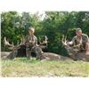 Image 3 : FIVE STAR OHIO WHITETAIL HUNT | FOR TWO HUNTERS