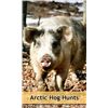 Image 3 : HIDDEN HORNS GAME RANCH - Howard City, MI | Arctic Hogs For 4 Hunters