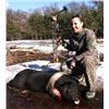 Image 6 : HIDDEN HORNS GAME RANCH - Howard City, MI | Arctic Hogs For 4 Hunters