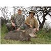 Image 4 : ARGENTINA, TWO HUNTERS, SEVEN DAYS AND THREE TROPHIES EACH @ THE ANURITAY RANCH