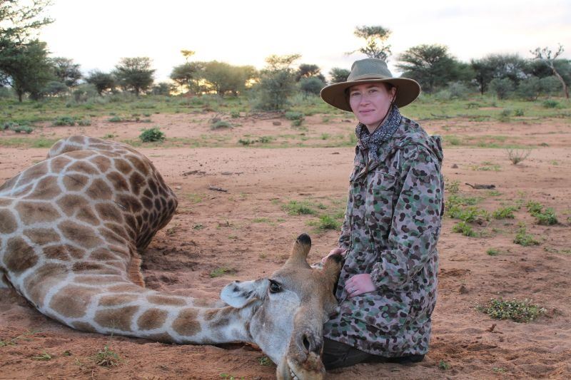 Springbuck Blue JAN OELOFSE HUNTING SAFARIS - Mount Etjo, Namibia | Giraffe, Oryx ...