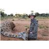 Image 4 : JAN OELOFSE HUNTING SAFARIS - Mount Etjo, Namibia | Giraffe, Oryx, Springbuck & Blue Wildebeest