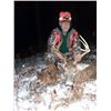 Image 5 : IOWA WHITETAIL HUNT