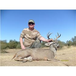 COUES DEER HUNT IN SONORA MEXICO - For Two Hunters with Erwins Outdoors