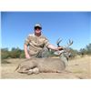 Image 1 : COUES DEER HUNT IN SONORA MEXICO - For Two Hunters with Erwins Outdoors