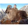 Image 6 : SOUTH PACIFIC SAFARIS - NEW ZEALAND | Tahr and Chamois hunt for two hunters