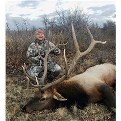 COLORADO TROPHY ELK HUNT - North Rim Trophy Hunts