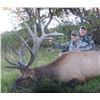 Image 3 : COLORADO TROPHY ELK HUNT - North Rim Trophy Hunts