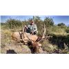 Image 4 : COLORADO TROPHY ELK HUNT - North Rim Trophy Hunts