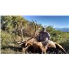 Image 5 : COLORADO TROPHY ELK HUNT - North Rim Trophy Hunts