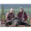 Image 5 : MOUNTAIN SPIRIT OUTFITTERS | Moose and Black Bear Hunt in British Columbia