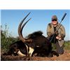 Image 1 : AFRICA MAXIMUM SAFARIS | South African Sable and Blue Wildebeest | Eight Days-Two Hunters+2 Non-Hunt