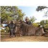 Image 3 : AFRICA MAXIMUM SAFARIS | South African Sable and Blue Wildebeest | Eight Days-Two Hunters+2 Non-Hunt