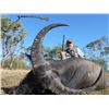 Image 5 : WATER BUFFALO HUNT FOR ONE HUNTER | Australian Outback Buffalo Safaris