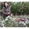 Image 6 : ROMANIA HUNTING OUTFITTERS | Chamois and Roe Deer Combo Hunt