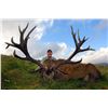 Image 3 : International Adventures Unlimited | Scotland Red Stag Hunt