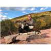 Image 6 : SAFARI INTERNATIONAL MACEDONIA | FIVE DAYS ONE HUNTER AND ONE NON-HUNTER FOR ONE MOUFLON SHEEP