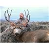 Image 1 : UTAH MULE DEER RUT HUNT | Porcupine Adventures - Paradise, Utah