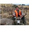 Image 3 : UTAH MULE DEER RUT HUNT | Porcupine Adventures - Paradise, Utah