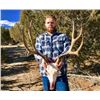 Image 4 : UTAH MULE DEER RUT HUNT | Porcupine Adventures - Paradise, Utah
