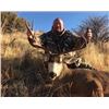 Image 5 : UTAH MULE DEER RUT HUNT | Porcupine Adventures - Paradise, Utah