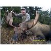 Image 3 : ARLUK OUTFITTERS - Newfoundland, Canada | 1 Moose and 1 Black Bear