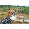 Image 6 : ARLUK OUTFITTERS - Newfoundland, Canada | 1 Moose and 1 Black Bear