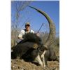 Image 11 : MARUPA SAFARIS - SOUTH AFRICA | Ten Days for One Hunter and Four Great Trophies