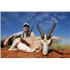 Image 6 : MARUPA SAFARIS - SOUTH AFRICA | Ten Days for One Hunter and Four Great Trophies