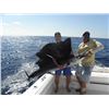 Image 4 : FISHING IN PANAMA | MARLIN, SAILFISH, TUNA, ROOSTERFISH & DORADO | 4 Fisherman and 4 Non-Fishermen