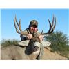Image 1 : OLD MEXICO MULE DEER HUNT