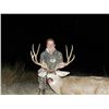 Image 3 : OLD MEXICO MULE DEER HUNT