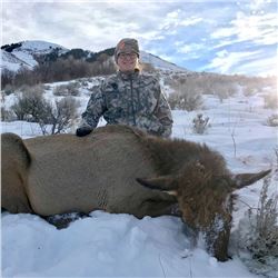 COW ELK HUNT IN UTAH | Parent and Child | Porcupine Adventures