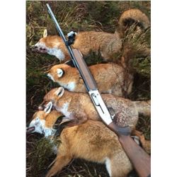 IRELAND | One Hunter and One Non-hunter Three Days of Hunting and Fishing