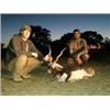 Image 4 : 3 Day White Tail Deer and Exotic Species  Hunt in Texas