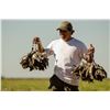 Image 5 : 5-Star, 4-day Dove Hunt for 2 Hunters in Cordoba, Argentina