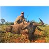Image 4 : 8 Day South Africa Plains Game Hunt for 2 Hunters and 2 Non- Hunters Including Trophy Fees