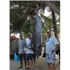 Image 1 : 6 Nights / 5 Days Belize Fishing and Diving Adventure for 2 People