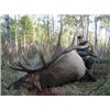 Image 3 : 3 Days / 4 Nights Trophy Elk Hunt for 2 Hunters in Saskatchewan, Canada.
