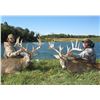 Image 2 : 5 Star Ohio Whitetail Deer Hunt for 2 Hunters