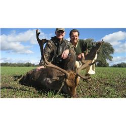 4 Day Mountain Hunt in Spain for 1 Hunter